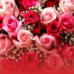 Floristeria Amor y Flores