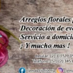 Floristería en Cali Clemda - Regala y Compra Flores en Cali - Ciudad Jardín