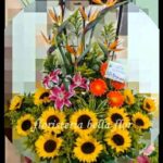 Floristería Girasoles Popayán