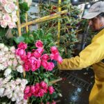 Floristeria Loaiza Flores Y Follajes.