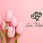 Floristería Los Tulipanes