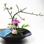 Ikebana FLORISTERÍA